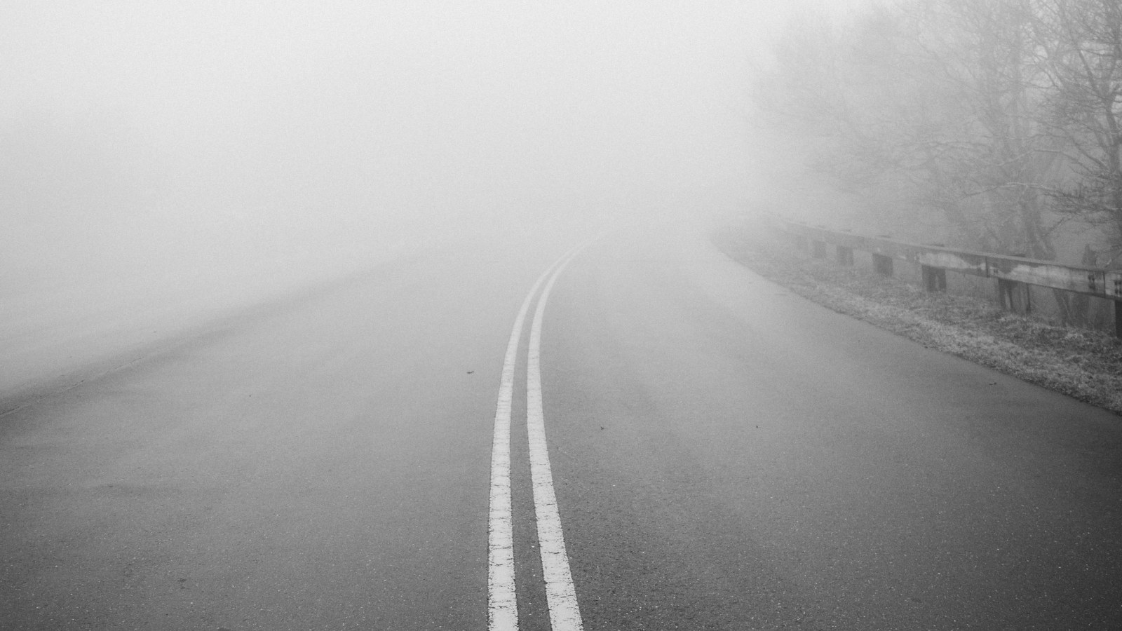 Zero-Click-Suche: eine im Nebel verschwindende Landstraße